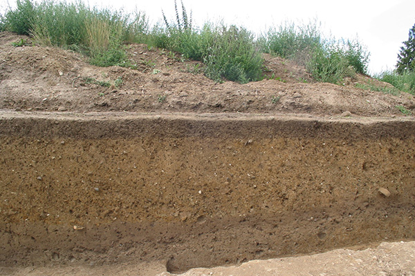 Verfüllung & Aushub